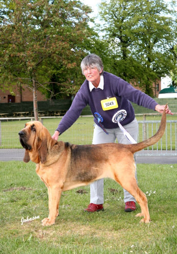 Wistful winning Group 2 at Scottish Kennel Club Championship show 2007